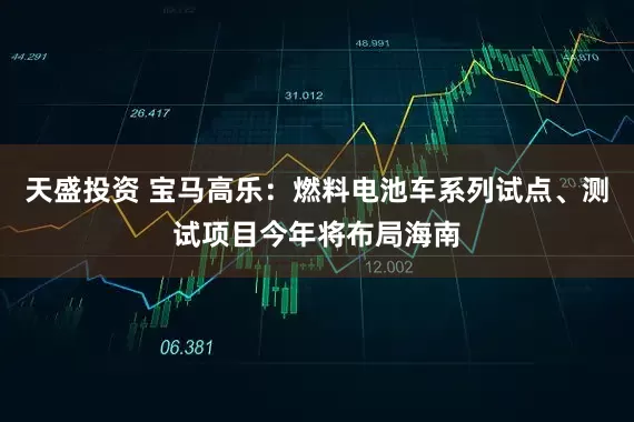 天盛投资 宝马高乐：燃料电池车系列试点、测试项目今年将布局海南
