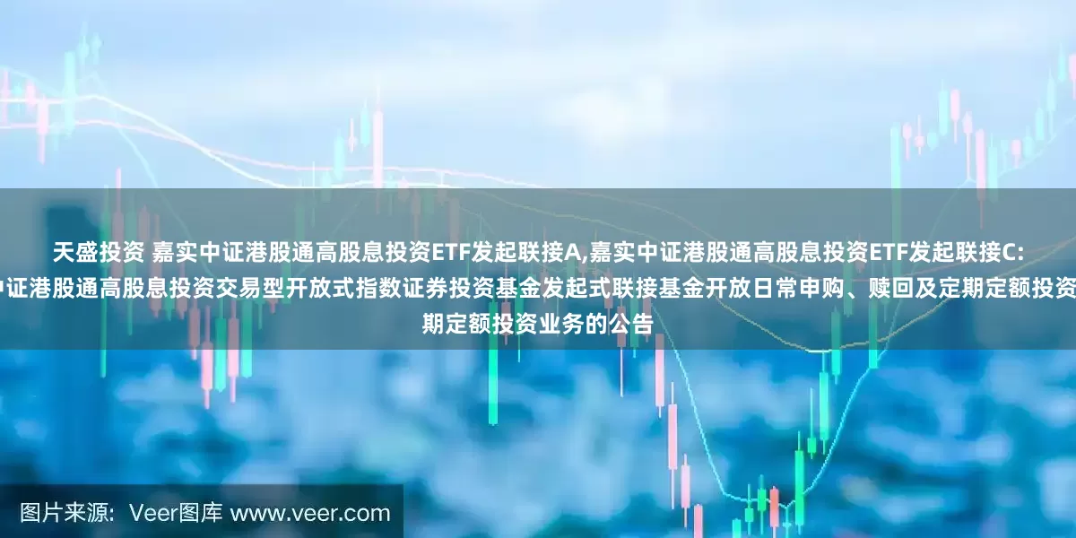 天盛投资 嘉实中证港股通高股息投资ETF发起联接A,嘉实中证港股通高股息投资ETF发起联接C: 关于嘉实中证港股通高股息投资交易型开放式指数证券投资基金发起式联接基金开放日常申购、赎回及定期定额投资业务的公告